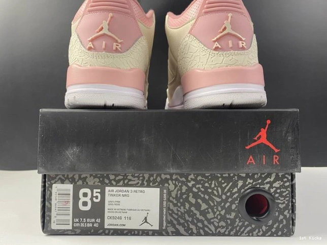 3 Jordan CK9246-116 (W) Rust Pink Retro Air Sail 0714